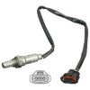 GM 555622O5 Lambda Sensor